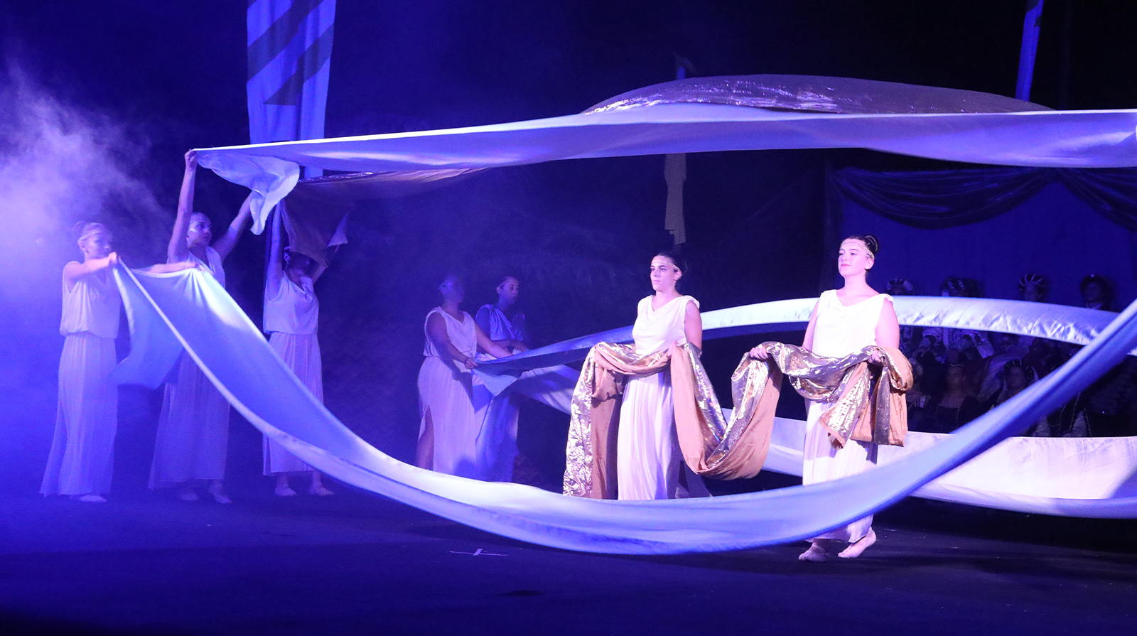 Video Caccia al Cinghiale